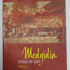 MEDGIDIA ORASUL DE APOI , roman de CRISTIAN TEODORESCU , 2009 , PREZINTA PETE , DEDICATIE *