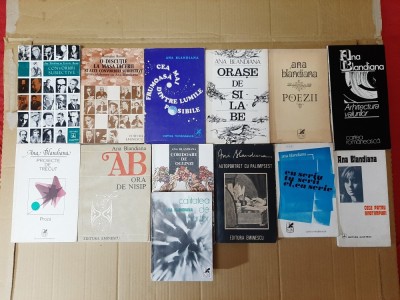 13 vol. Ana Blandiana (Palimpsest, Martor, Anotimpuri, Coridoare, Ora de nisip, Arhitectura, Orase de silabe, Proiecte, Lumile posibile, Convorbiri)) foto