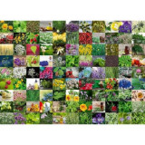 Puzzle 99 De Plante Si Condimente, 1000 Piese, Ravensburger