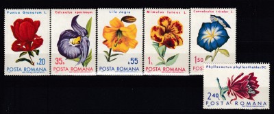 ROMANIA 1971 LP 767 FLORI DIN GRADINI BOTANICE SERIE MNH foto