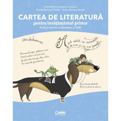 Cartea de literatura pentru invatamantul primar. Invat si exersez cu Amadeus si Remi PlayLearn Toys foto