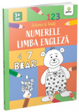 Numerele și limba engleză - Paperback brosat - Gama