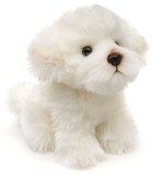 Caine de plush Bichon alb Maltez de jucarie 18cm