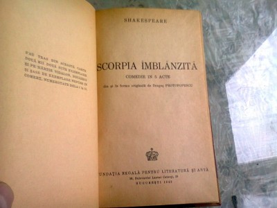 SCORPIA IMBLANZITA - SHAKESPEARE foto