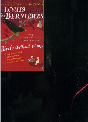 Louis de Berni&amp;egrave;res Birds Without Wings foto