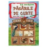 Sa Invatam Pasarile De Curte - Carte De Colorat