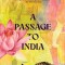 A Passage to India (Warbler Classics)