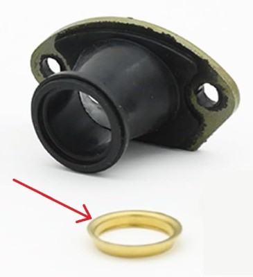 Saiba fixare drujba chinezeasca foto