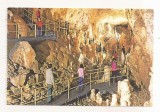 RF112 - Carte Postala - Pestera Ursilor (Chiscau) - Bihor, necirculata