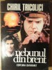 Nebunul din Brent - Chiril Tricolici, Editura Diamant, 1992, Carte politista