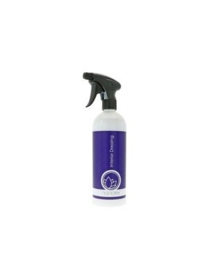 Solutie Intretinere Interior Nanolex Interior Dressing 750ml foto