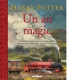 Harry Potter. Un an magic - Radu Paraschivescu, J. K. Rowling, Florin Bican, Tatiana Dragomir, Alex Moldovan