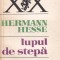 Hermann Hesse - Lupul de stepa