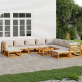 vidaXL Set mobilier grădină cu perne gri deschis, 11 piese, lemn tec 3155293