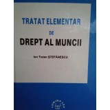 Ion Traian Stefanescu - Tratat elementar de drept al muncii (Editia: 1999)