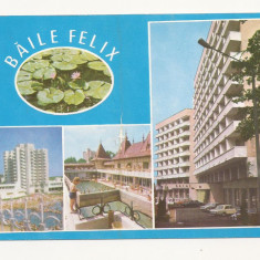 RC15 -Carte Postala- Baile Felix, Nufar din Africa, circulata 1987