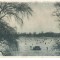 AD 877 C. P. VECHE -BUCURESTI -LACUL FLOREASCA, PATINAJ -RPR - CIRCULATA 1956