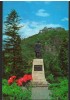 CPI B13366 CARTE POSTALA - DEVA. STATUIA LUI DECEBAL, Necirculata, Fotografie