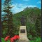 CPI B13366 CARTE POSTALA - DEVA. STATUIA LUI DECEBAL