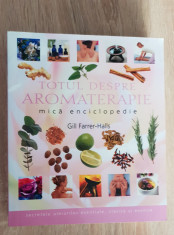 Totul despre aromaterapie. Mică enciclopedie - Gill Farrer-Halls foto