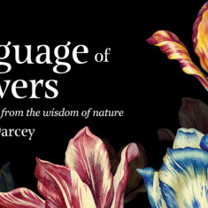 The Language of Flowers: Loving Support from the Wisdom of Nature