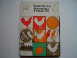 Valorificarea industriala a pasarilor - I. Cironeanu, B. Dobinda, C. Banu, 1975, Alta editura