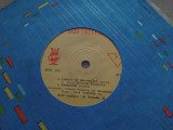 Disc vinil Gica Petrescu - Cine-o fi de vina