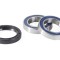 Set rulmenti roata fata Sherco SE 250 300F R 14- 22 Prox 23.S110070