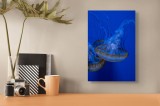 Tablou Canvas, "Dansul meduzelor subacvatice albastre", Meduze, Albastru, Luminos, Eleganță, Acvatic, Delicat, Natură, Ocean, 26 x 39 cm, CMCLASS