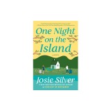 One Night on the Island