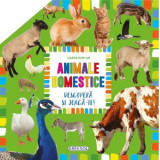 Carte pop-up. Animale domestice. Descopera si joaca-te