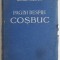 Pagini despre Cosbuc. Contributii la cunoasterea vietii si operei poetului &ndash; Gavril Scridon
