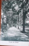 Carte postal, Parcul din Salistea, perioada interbelica