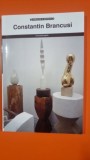 Album de buzunar Constantin Brancusi
