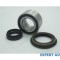 Rulment roata spate Nissan Pathfinder II (1997-2004)[R50] #1