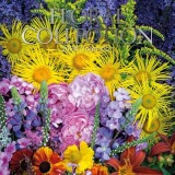 Floral Collection - 2024 Square Wall Calendar