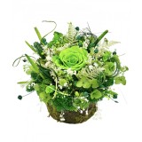 Aranjament floral personalizabil cu licheni, trandafir si plante naturale criogenate si stabilizate pe suport tip buturuga (Verde)