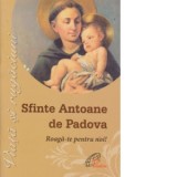 Sfinte Antoane de Padova. Roaga-te pentru noi!