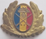 Insigna militara ofiter