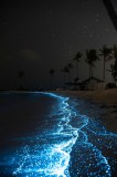 Tablou Canvas, "Valurile strălucitoare ale oceanului nocturn", Magie, Lumină, Noapte, Valuri, Ocean, Stele, Plajă, Copaci, Cer, Relaxare., 26 x 39 cm,