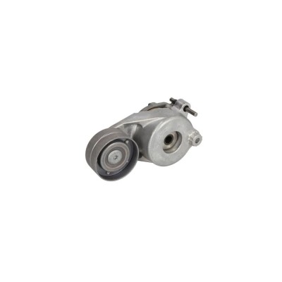Intinzator curea MERCEDES-BENZ C-CLASS T-Model S204 DAYCO APV2782 foto