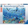 Puzzle Lumea Subacvatica Colorata, 3000 Piese, Ravensburger