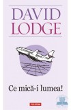 Ce mica-i lumea - Polirom