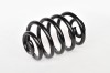 Arc Suspensie Spate 65887 NGH 02.03.009