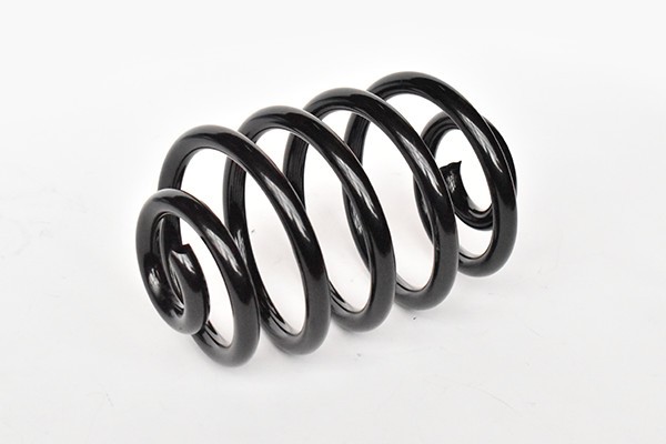 Arc Suspensie Spate 65887 NGH 02.03.009