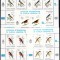 DB1 Fauna Pasari Argentina CM Fotbal 1978 5 MS x4 MNH