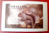 Cumpara ieftin EYNHALLOW HOLY ISLAND, FAUNA VEVERITA,colita mnh
