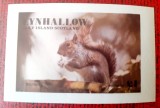 EYNHALLOW HOLY ISLAND, FAUNA VEVERITA,colita mnh