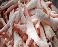 Picioare de pui congelate / laba de pui foto