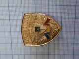 insigna militara SPP.